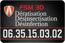 FSM 3D