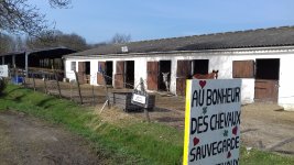 ASSOC RESPECT SAUVETAGE ET RETRAITE DES CHEVAU