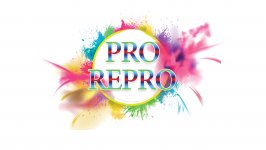 PRO RE PRO