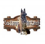 CHENIL DES LOUPS DU RANCH