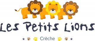 CRECHE LES PETITS LIONS VIENNE CENTRE