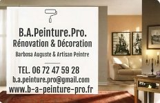 B A PEINTURE PRO