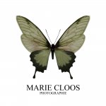 MARIE CLOOS PHOTOGRAPHIE