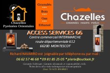 ACCESS SERVICES 66