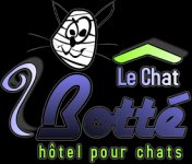 Pensions Pour Chiens Chats Meurthe Et Moselle Mairie Com