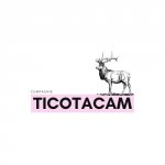 TICOTACAM