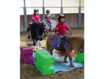 Photo PONEY CLUB PIROUETTE