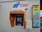 Photo ÉLÉPHANT BLEU