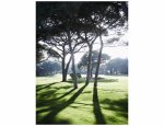 GOLF CLUB DE CANNES MANDELIEU