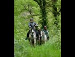 FERME EQUESTRE CRINIERES AUX VENTS