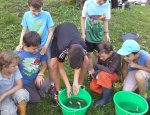 Photo ASSOCIATION AGRÉÉE POUR LA PÊCHE ET LA PROTECTION DU MILIEU AQUATIQUE DE L'ALBANAIS